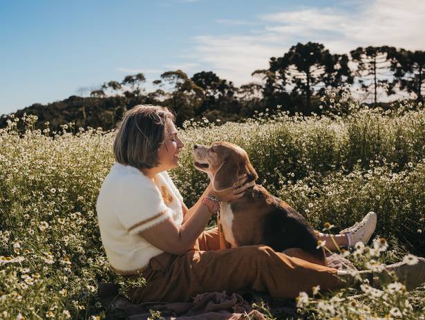 Retratos de Estimação de Freud