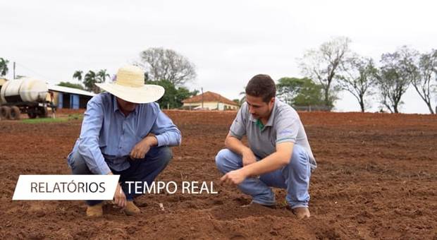 Agronegócio de PLANTIO DO AMENDOIM SAFRA 21/22 