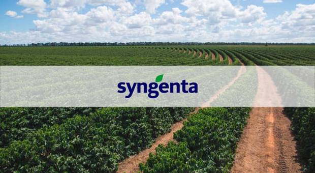 Agronegócio de Hora do Drench | SYNGENTA