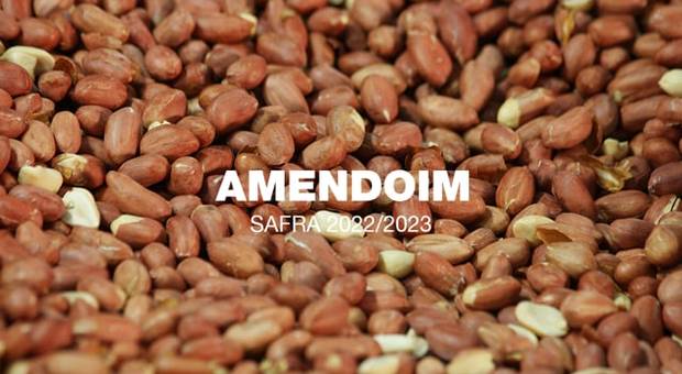 Agronegócio de Plantio Amendoim | Safra 22/23 | MAFER