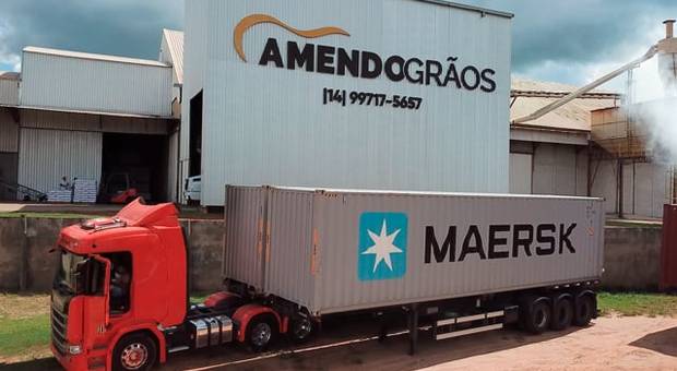 Agronegócio de Amendogrãos Peanuts