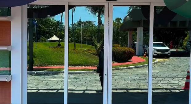 Vídeos de Congresso Vitafor - Camila Avelar