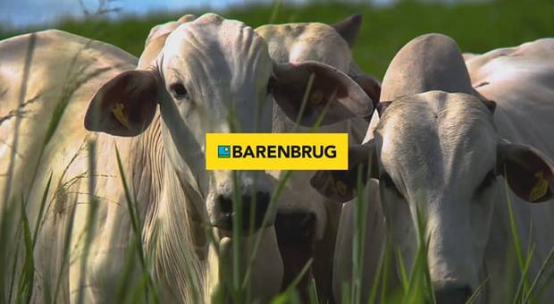 Agronegócio de Vídeo de Depoimento para o Agronegócio | Munhoz Produtora