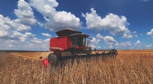 Agronegócio de Vídeo de Safra de Soja para o Agronegócio | Munhoz Produtora