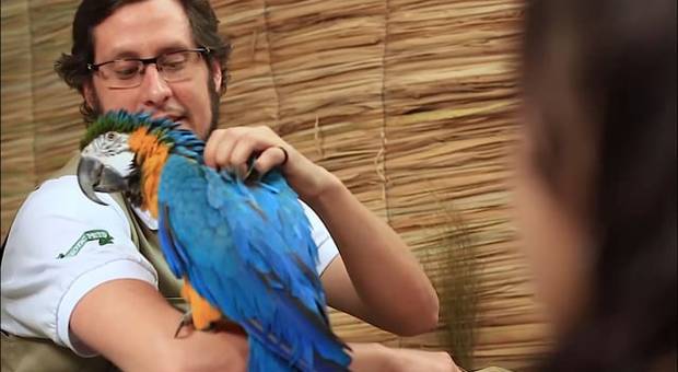 Ed.Ambiental de Aula de Educação Ambiental