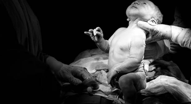 Nascimentos de A Chegada do Bernardo