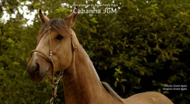 Eventos de Cabanha - JGM