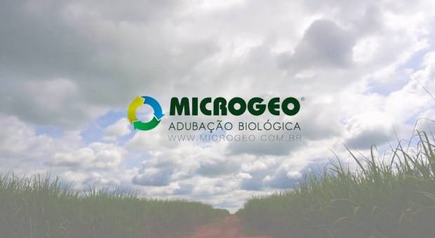 Corporativos de Microgeo - Depoimentos SP