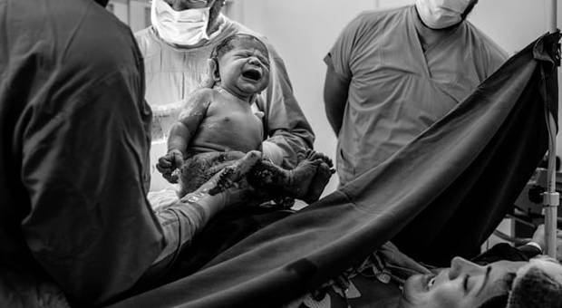 Nascimentos de Chegou o mano Francisco