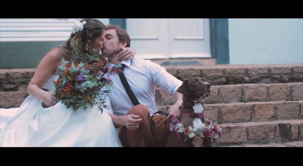 Fazenda de Ianna + Alexandre