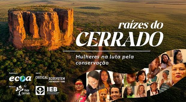 Curtas/Documentários de Curta-Documentário: Raízes do Cerrado