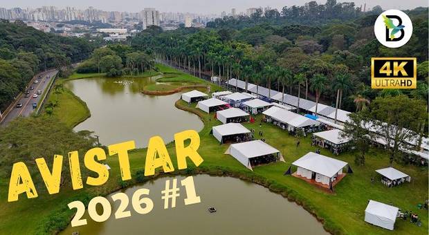 Exposições realizadas de AVISTAR - VOOAR