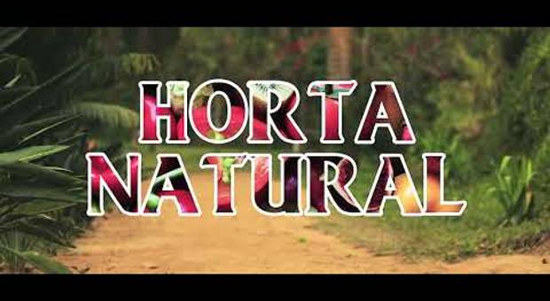 PUBLICIDADE E PROMOCIONAIS de Vídeo institucional da pagina de serviços Hortal Natural