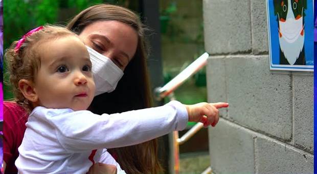 ESCOLAR de Encerramento Escola Creare