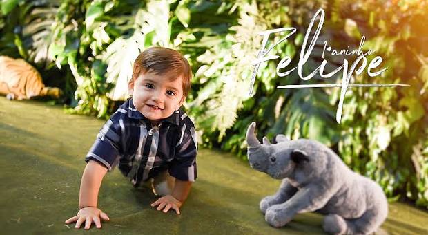 Filme dos Pequenos de Safari do Felipe