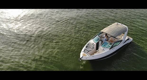 Session de Érica + Danilo | Comming Soom