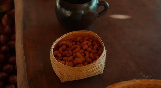 Ensaio Fotográfico de Evento cultural na Aldeia Suruí Gaherê