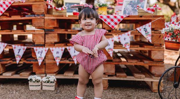 Aniversário de Picnic da Liz - Festa Pocket em casa