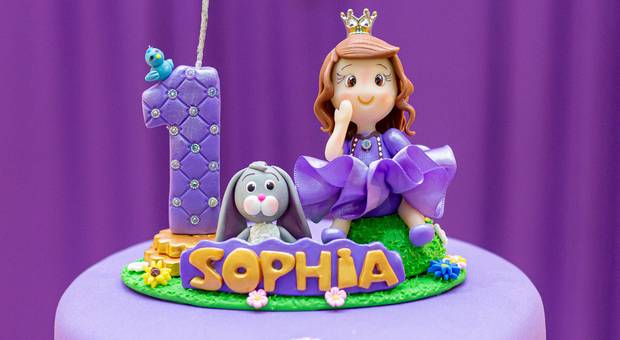 Aniversário Infantil de Aniversario Da Sophia