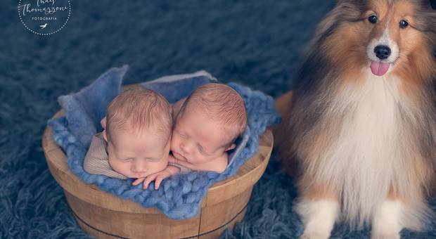 Newborn de FOTOGRAFIA DE RECÉM-NASCIDOS DE GÊMEOS