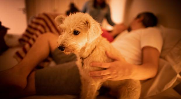 Parto de Nascimento Mariah