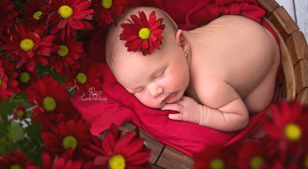 Newborn de Ensaio Newborn Rebeca 9 dias