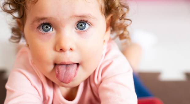 Aniversário Infantil de Segundo Ano Maria Isabelle