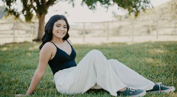 Ensaios de Sophya XV