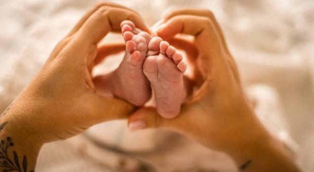 Newborn Lifestyle de O começo de uma vida toda. Em casa, com amor.
