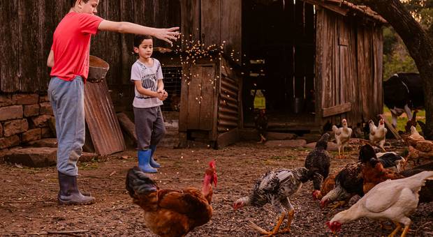 Família de Família Marx