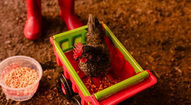 Infantil de Benício - 3 anos