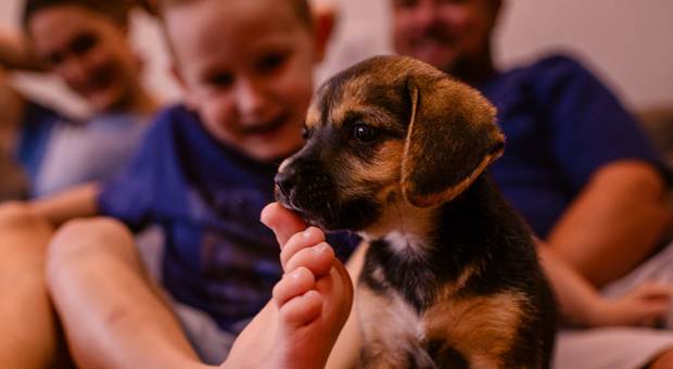 Família de Dudu - 5 anos