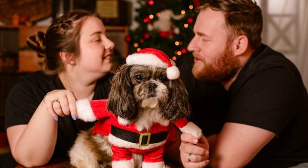 A CASA DE NATAL  de Fritz  - A Casa de Natal - A Magia de estar presente!