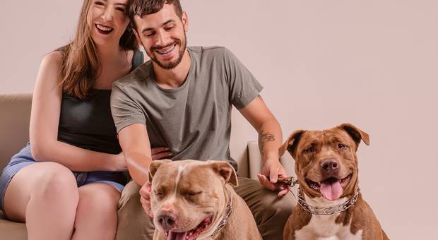 Família de Ana, Douglas, Scott, Maria, Romeu e Olívia - Muitas patinhas e amor!