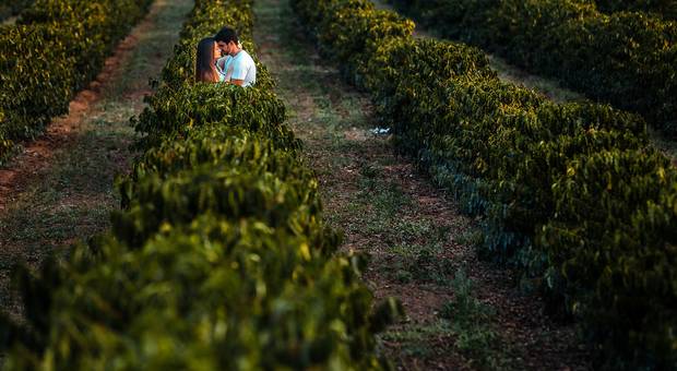 Ensaios de Adriana e Luiz