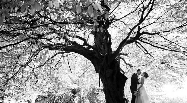 CASAMENTOS de Débora e Anderson