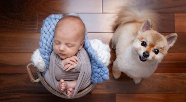 New Born de New born Guilherme. 