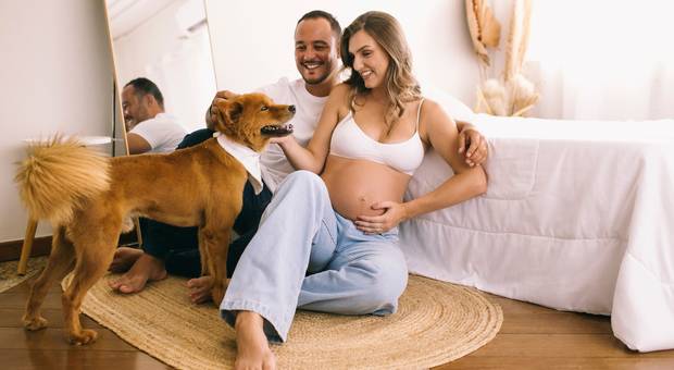 GESTANTE de ESPERANDO BERNARDO