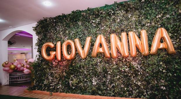 Meu Primeiro Ano de Giovanna 