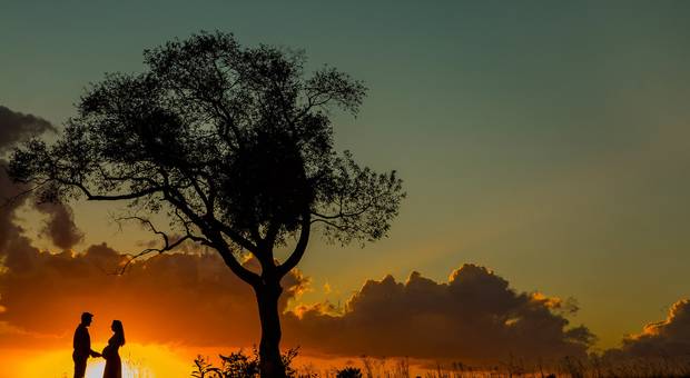 Gestantes de Book Gestante Debora+Fernando= Flávia