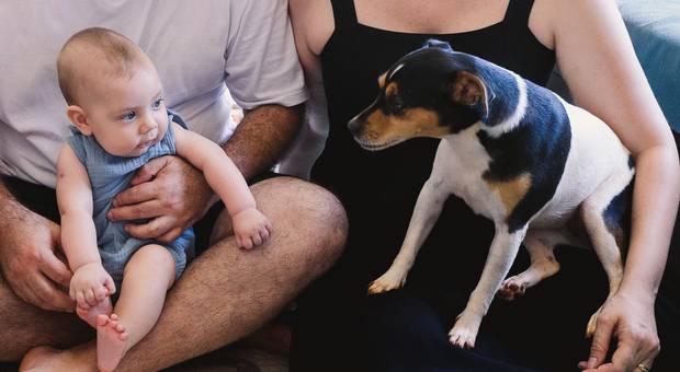 Família de Ensaio Lifestyle de família