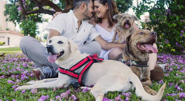 Casais de Giulia e Matheus