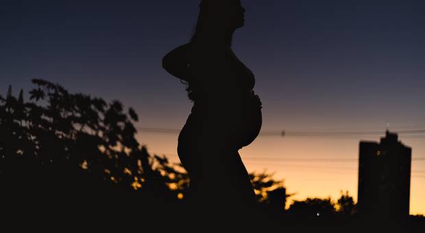 Gestantes de Camila e André