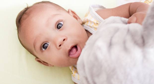 Ensaios de Ensaio Bernardo - 4 meses