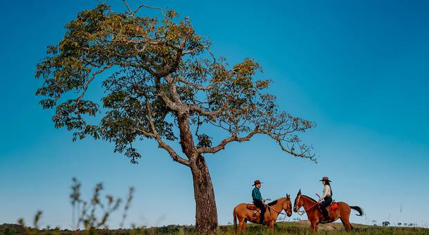 Ensaios de LARISSA E FERNANDO