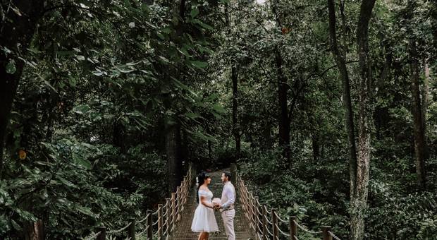 Casamentos de Claudia & Gustavo