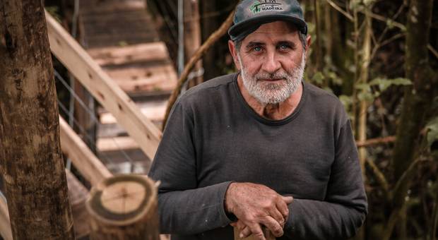 ENSAIOS de Casa na Árvore