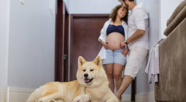 Gestantes/Família de Juliana e John