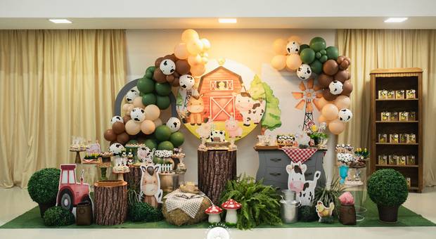 Aniversário de Fazendinha do Vini!