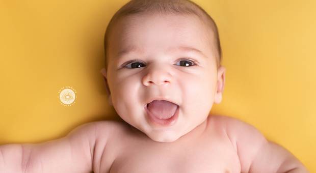 Estúdio de Pedro - 26 dias